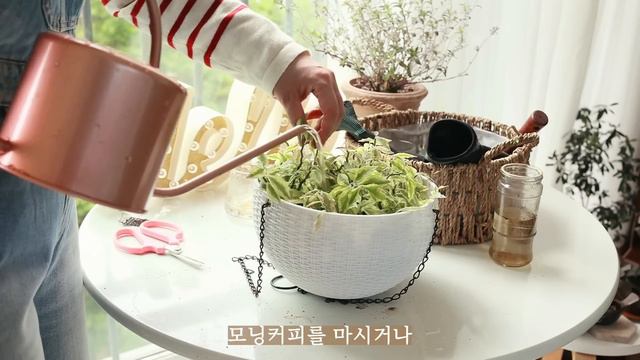 베란다 정원 꾸미고 취미로 힐링해요 (식집사 일상/ 부라더 미싱) смотреть онлайн