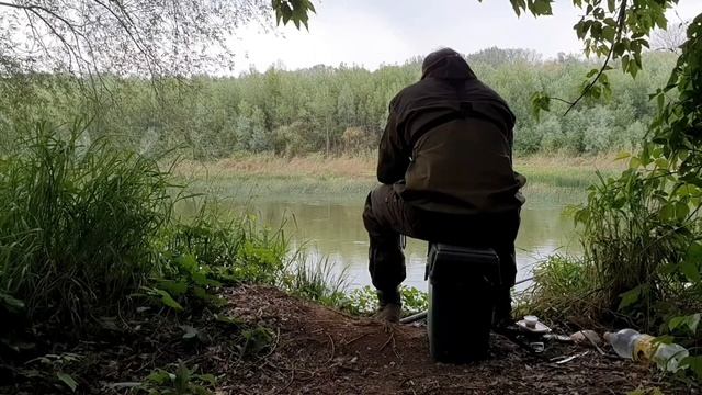 Рыбалка на дендробену, горох и пучок опарышей. Донная ловля смотреть онлайн