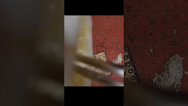 Asus Rog Phone6 Repair Camera   #asusrog #asusrogphone6 #repair