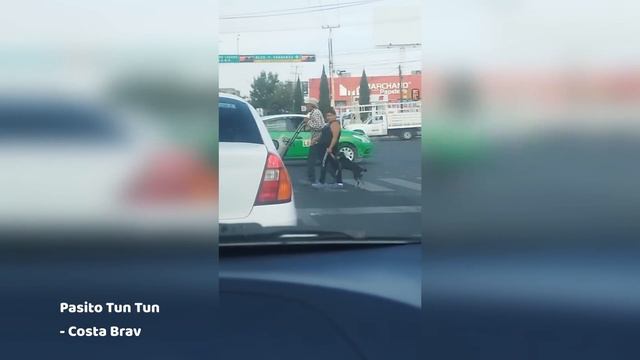 234. HFM COUB BEST CUBE Coub Приколы 2024 entertainment show, video collection from all over the wor смотреть онлайн