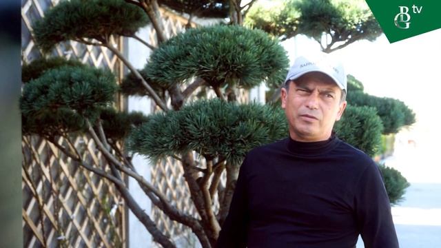 Бонсай – потрясающее растение смотреть онлайн