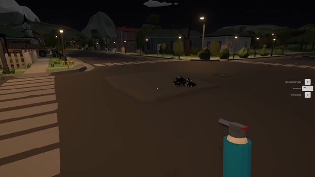 Fireworks Mania Workshop