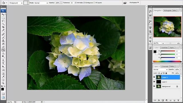 1# - Tutorial Teknik Polaroid Adobe Photoshop смотреть онлайн