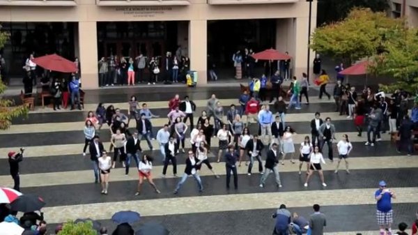 Stanford University Flash Mob - Gangnam Style Parody (Official Version)