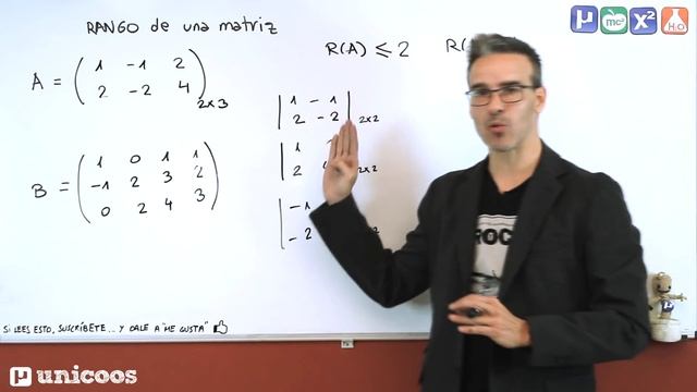 RANGO de una matriz por determinantes 01 BACHILLERATO unicoos смотреть онлайн