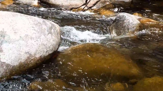 Top 200 Romantic Classical Piano Music of All Time - Sweet Piano Melodies for Relax & Study смотреть онлайн