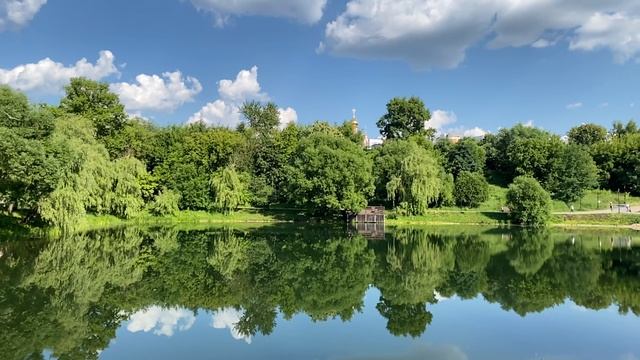 Москва, парк Свибловские пруды. Полёт чайки над Лазоревым прудом. Видео снято в замедленном режиме. смотреть онлайн