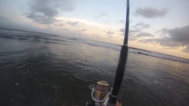 Surf fishing Pargo Denton en la bahia de Jiquilisco смотреть онлайн
