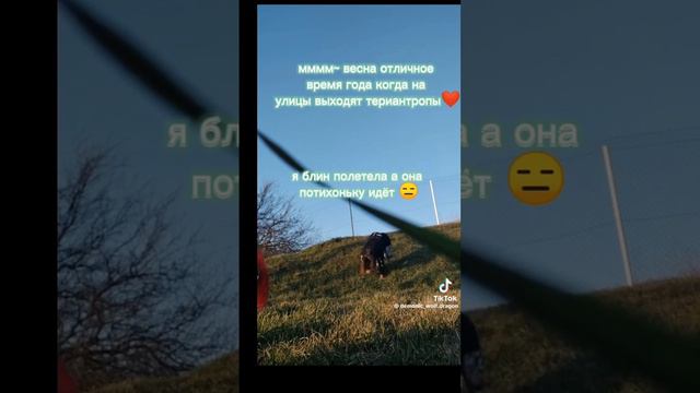 ТТ /квадробика/ видео не мои) смотреть онлайн