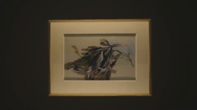 Venice Exhibition: John Ruskin - The Stones of Venice, Palazzo Ducale смотреть онлайн