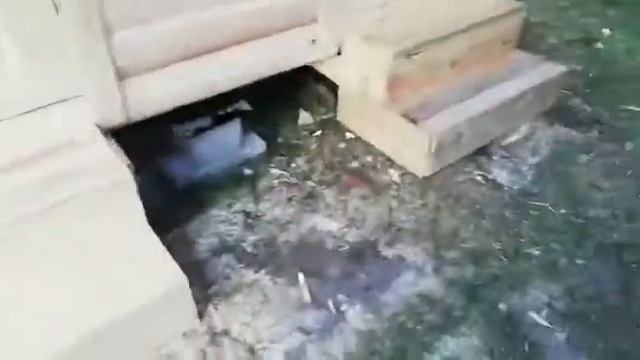 Душ с туалетом 2,5х1,5м смотреть онлайн