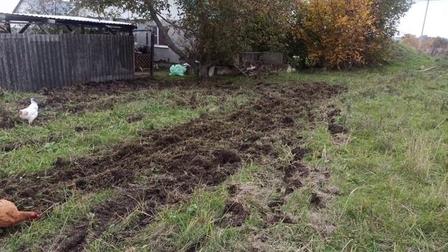 работа мотоблоком на заднем огороде! наконец приступили к работе смотреть онлайн