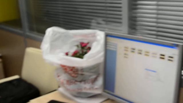 Тестовая видеосъёмка на Nikon D7000 смотреть онлайн