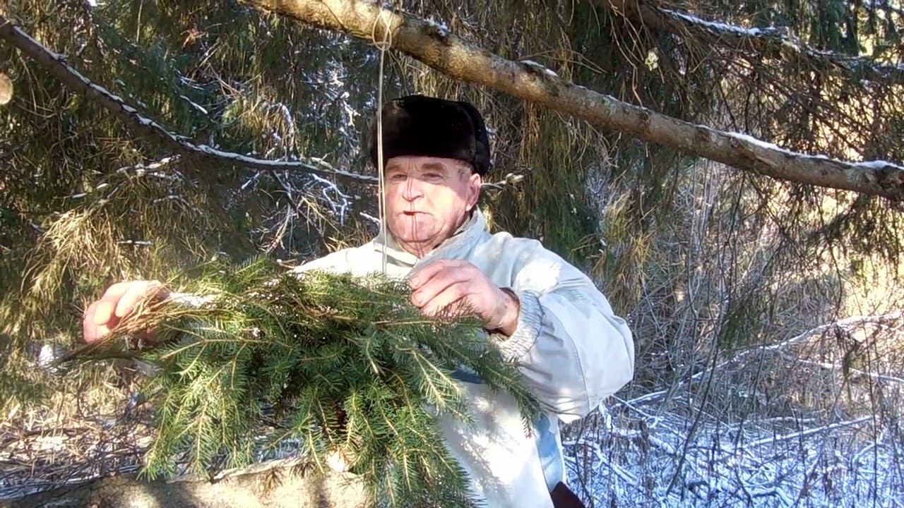 Лапник на капканы. смотреть онлайн