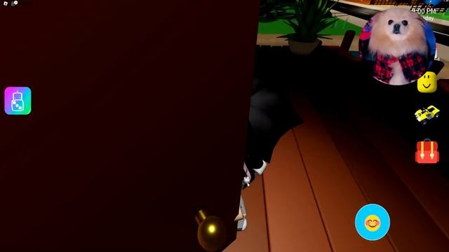 ПОХИЩЕНИЕ КОТИКОВ В РОБЛОКС ! КАКАЮЩИЕ КОТИКИ В ОДНОМ ДОМЕ ROBLOX смотреть онлайн