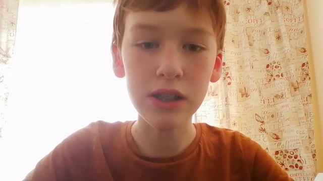 5 выпуск. Панголины (ящеры). Млекопитающие в чешуе. Влог о животных. смотреть онлайн