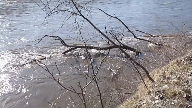 Canon PowerShot SX620 HS Test смотреть онлайн