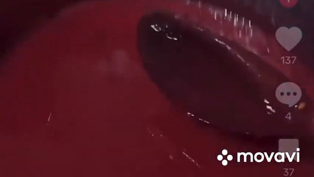 Польша: суп- «Журик»з закваскою; Великий - сирник; Пирiжки, як - вареники з чорницею/ Шурпа/Гаспачо