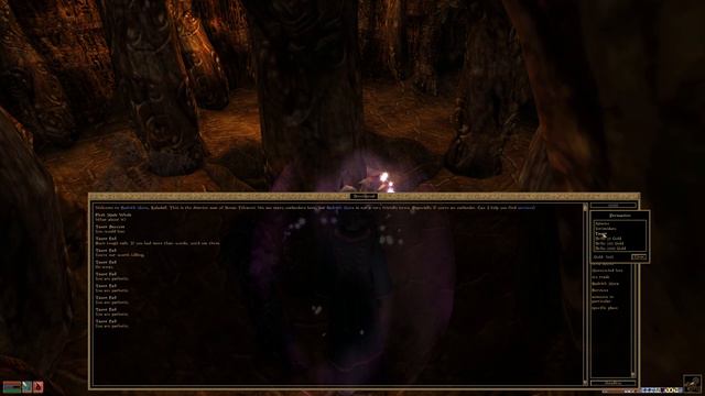 Lore & Loot: Morrowind | House Telvanni: Flesh Made Whole смотреть онлайн