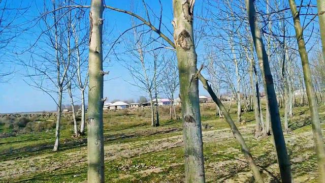 22-23-ФЕВРАЛЬ КУНЛАРИ КУЧЛИ ЁМҒИР ЁҒИШИ КУТИЛМОҚДА, ОБ ХАВО МАЛУМОТИ, ob havo смотреть онлайн