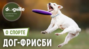 Дог-фрисби – О спорте
