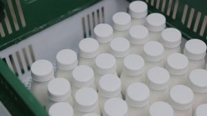 Производство пластового творога и йогуртов от Самоката