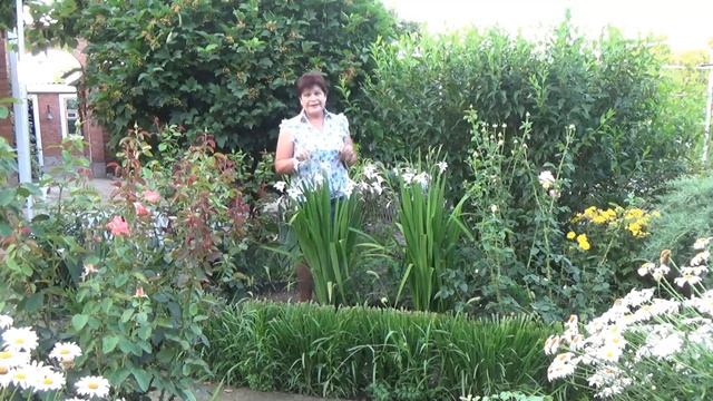 Этот луковичный цветок цветет летом АЦИДАНТЕРА мой опыт выращивания смотреть онлайн