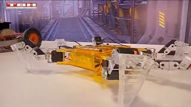 Консул Германии в СибГИУ смотреть онлайн