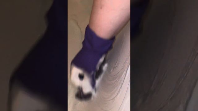 Это видео было тестовое на айфоне /на базовых настройках фокус прыгает, цветопередача переключается смотреть онлайн