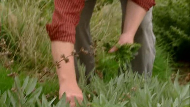 11x1_Jamie_Oliver_Marinady_i_konservy