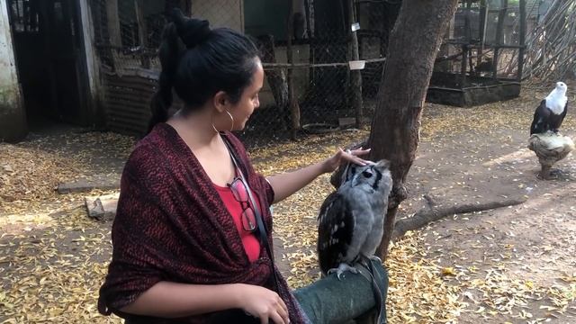 Travel VLOG: A Week In Malindi | Chennai to Lagos смотреть онлайн