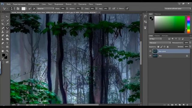 Лес в тумане. SpeedArt смотреть онлайн