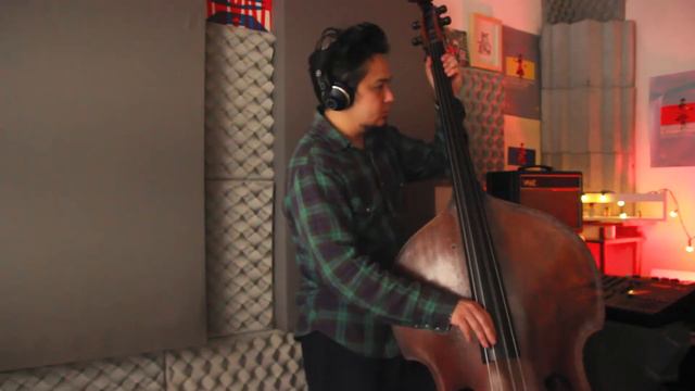 Fabio Sá RECORDING DOUBLE BASS // Zen Jam by Tessjazz смотреть онлайн