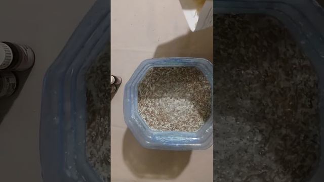 Чистящее средство своими руками очень эффективное и хорошее, простое и дешевое DIY