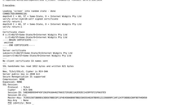 Logstash-forwarder TLS handshake error - Server selected unsupported protocol version 301 смотреть онлайн