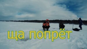 Ловля на дергушу густеру сопу рыбалка на покаток зимняя ловля на течении на реке Ока снасть дергуша