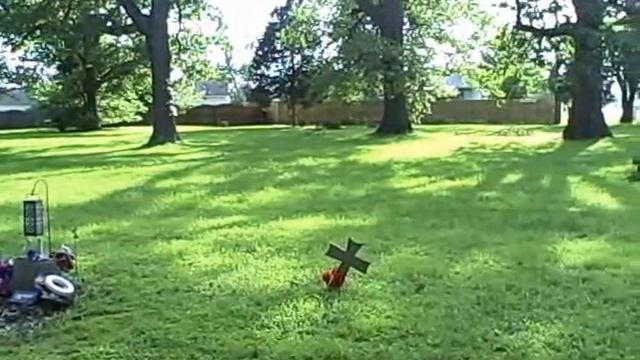 Sage Chapel Cemetery - O'Fallon, MO - Video Documentary смотреть онлайн