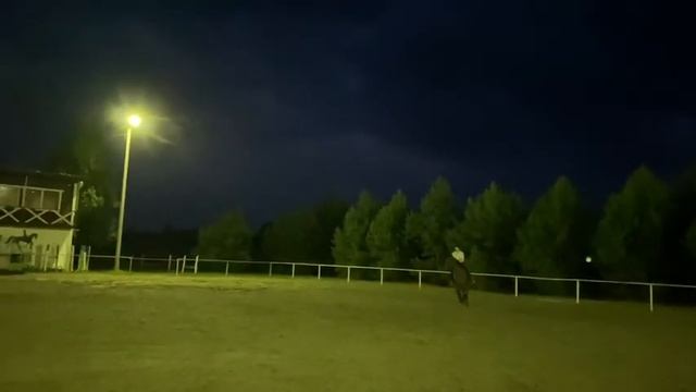 Конный влог: едем покупать лошадь смотреть онлайн