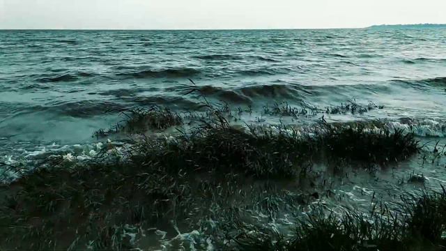 К морю..в Таганрог.. смотреть онлайн