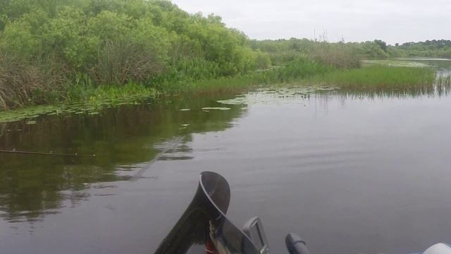 Bass Strike 1 смотреть онлайн