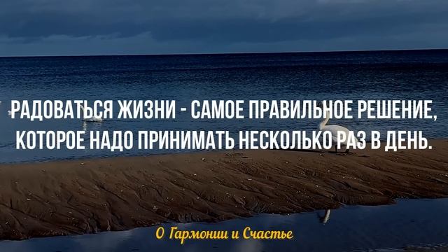 Об ЭТОМ должен знать каждый! Удивительные цитаты о гармонии и счастье. смотреть онлайн