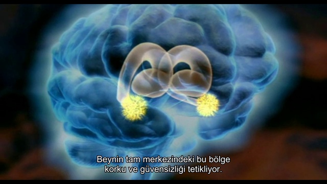 BBC.The.Human.Mind.3of3.Making.Friends