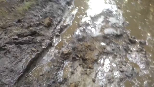 Куга свободна! смотреть онлайн