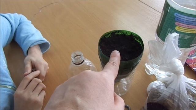 Кружок"Самоделкины".Фитильный полив для растений. смотреть онлайн