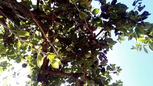 20240813_114546.mp4 смотреть онлайн
