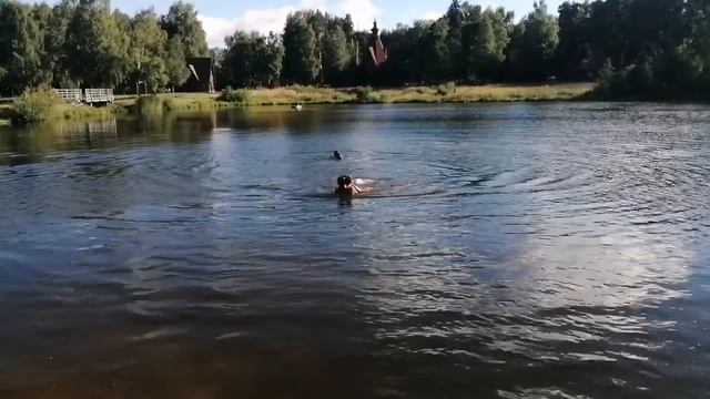 Дети, Кострома. Отработка навыков по спасению утопающего. Сборы 2022. смотреть онлайн