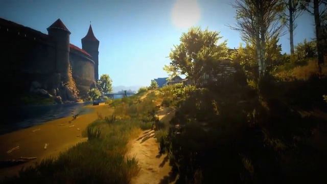 the Witcher 3 от 1 лица смотреть онлайн