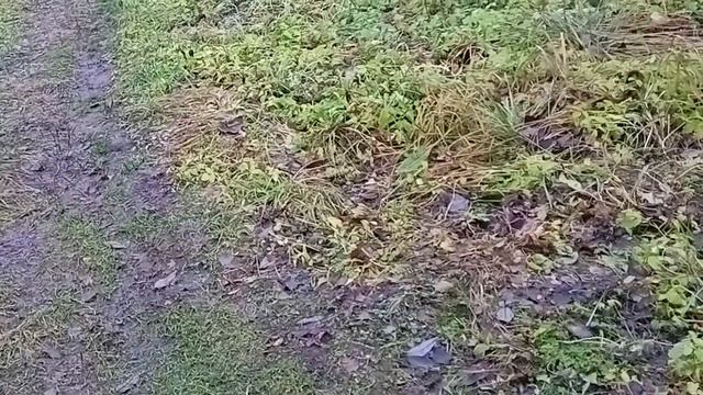 Свалка у реки, как так можно!? смотреть онлайн