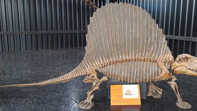 Автопутешествие через всю Россию. Сибирь,Саяны, Алтай, Урал. смотреть онлайн