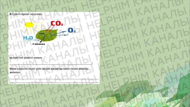 БИОЛОГИЯ 7-СЫНЫП ТЖБ 2-ТОҚСАН 1-НҰСҚА смотреть онлайн